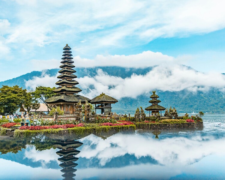 BALI "Tropical State of Mind"